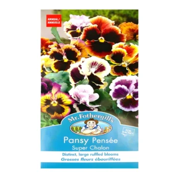 Pansy Super Chalon