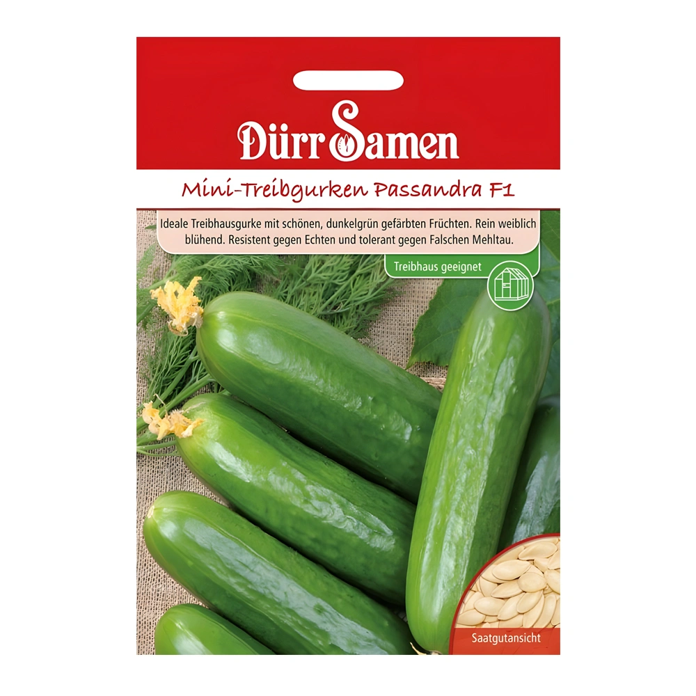 Passandra F1 Mini Cucumber 1 Passandra F1 Mini Cucumber seeds