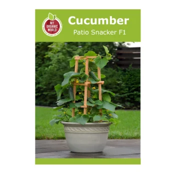 Patio Snacker F1 Cucumber Seeds