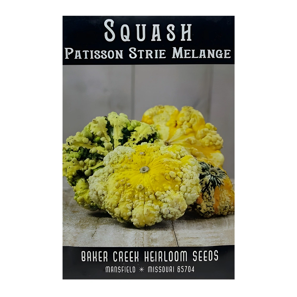 Patisson Strie Melange Squash 1 Patisson Strie Melange Squash seeds