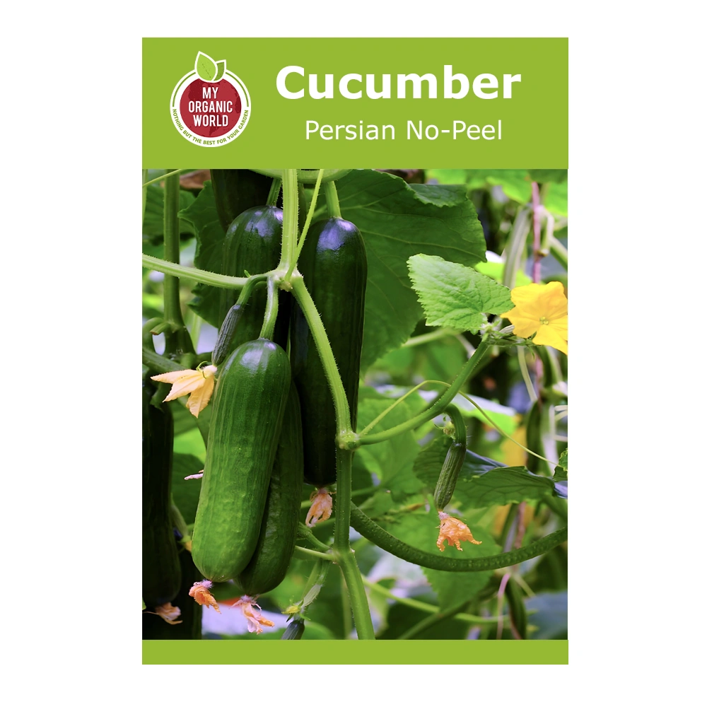 Persian No-Peel Cucumber 1 Persian No-Peel Cucumber Seeds