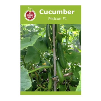 Peticue F1 Cucumber Seeds