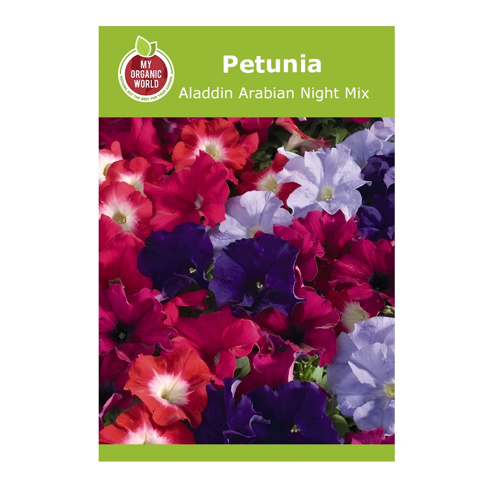 Petunia Aladdin Arabian Night Mix