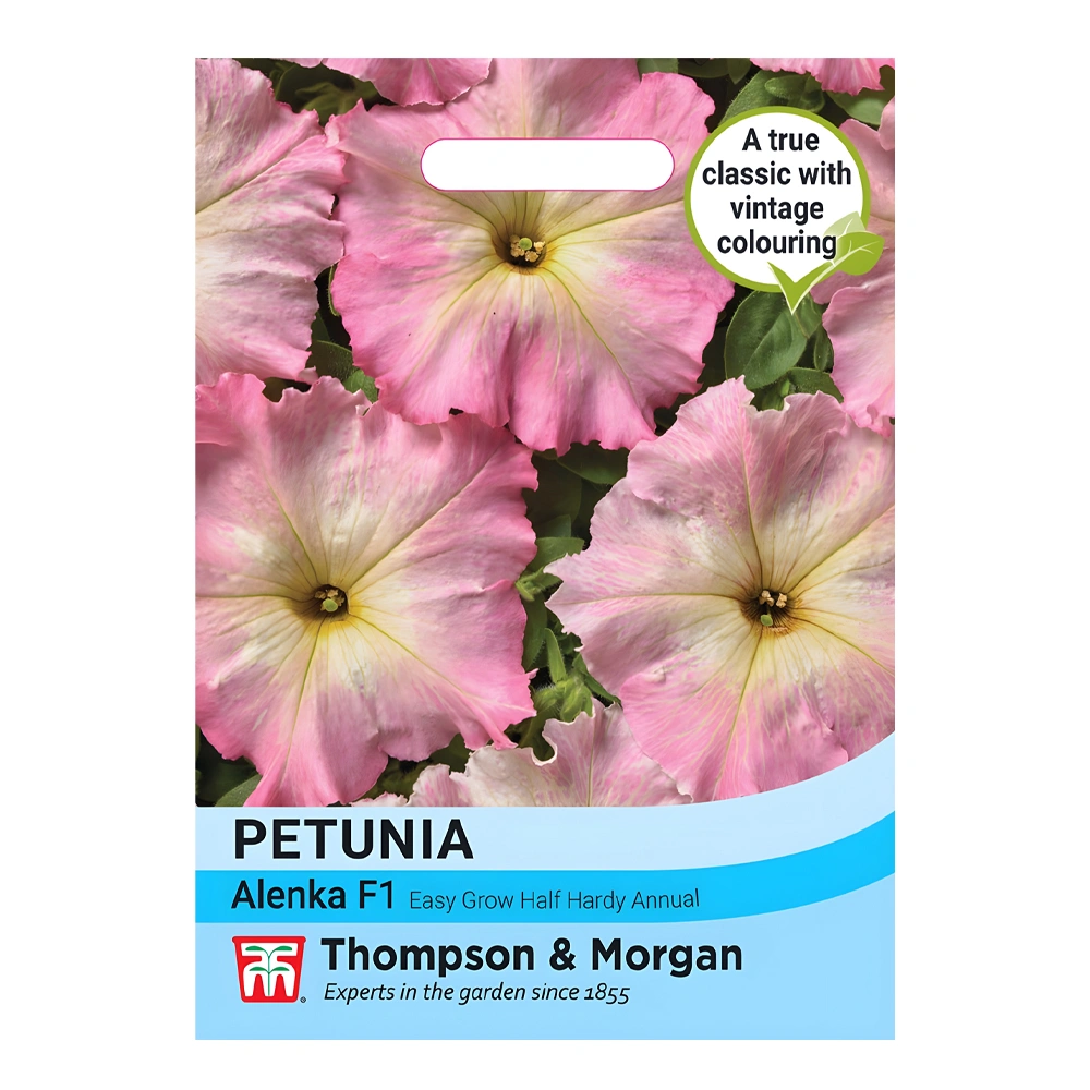 Petunia Alenka F1 1 Petunia Alenka F1