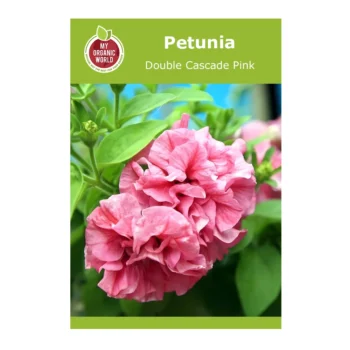 Petunia Double Cascade Pink