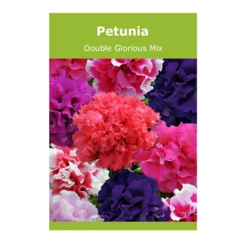 Petunia Double Glorious Mix seeds