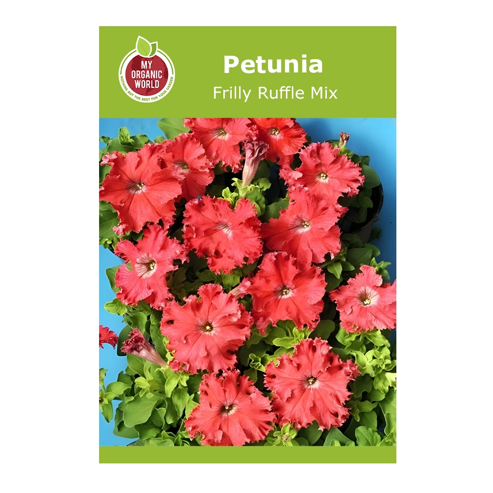 Petunia Frilly Ruffle Mix 1 Petunia Frilly Ruffle Mix