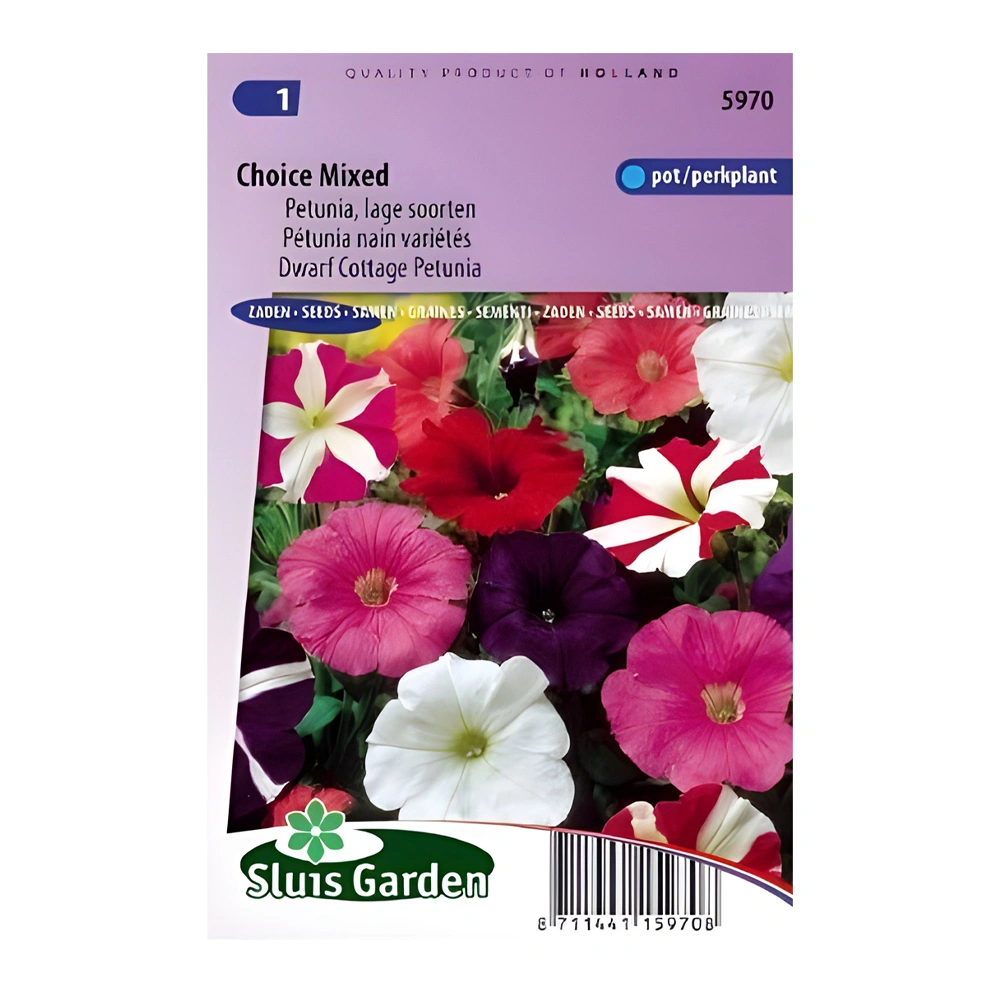 Petunia Dwarf Cottage Choice Mixed 1 Petunia Hybrida Nana Compacta Mix