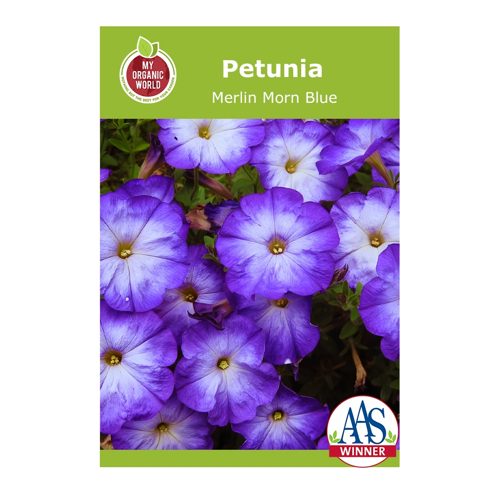 Petunia Merlin Morn Blue 1 Petunia Merlin Morn Blue seeds