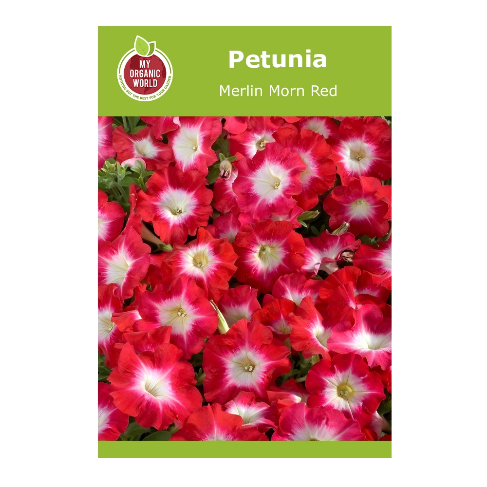 Petunia Merlin Morn Red