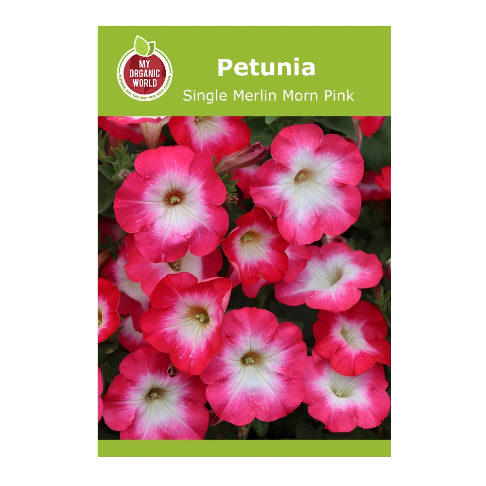 Petunia Single Merlin Morn Pink seeds