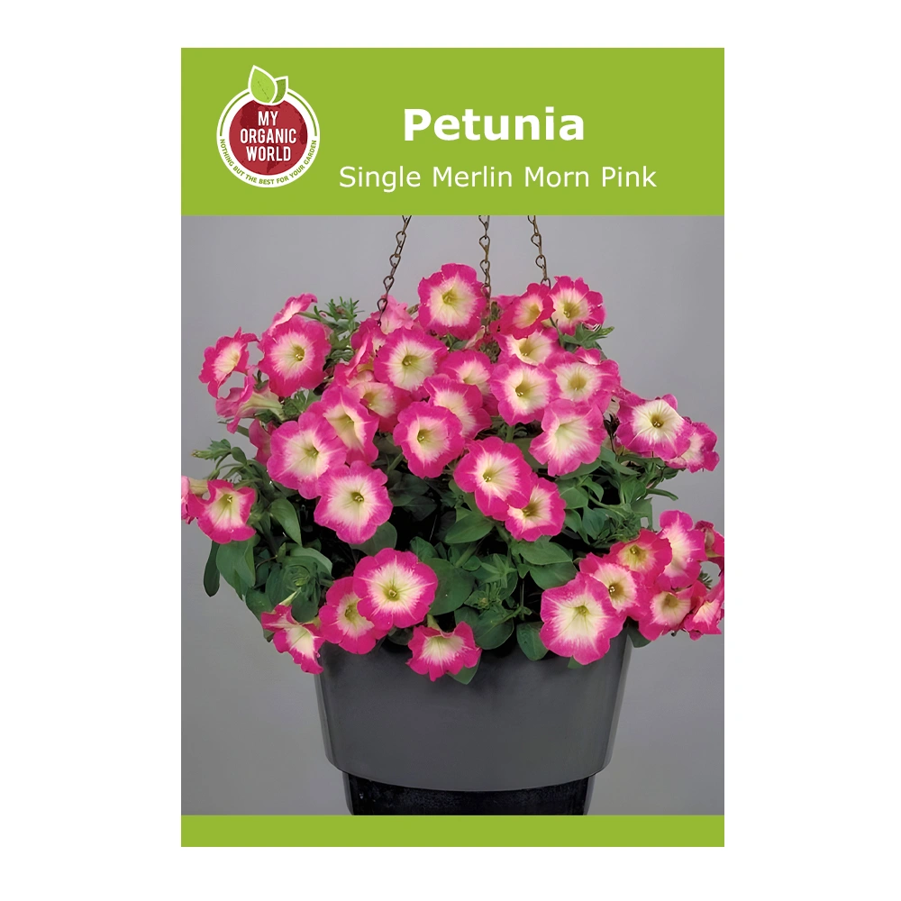 Petunia Single Merlin Morn Pink seeds