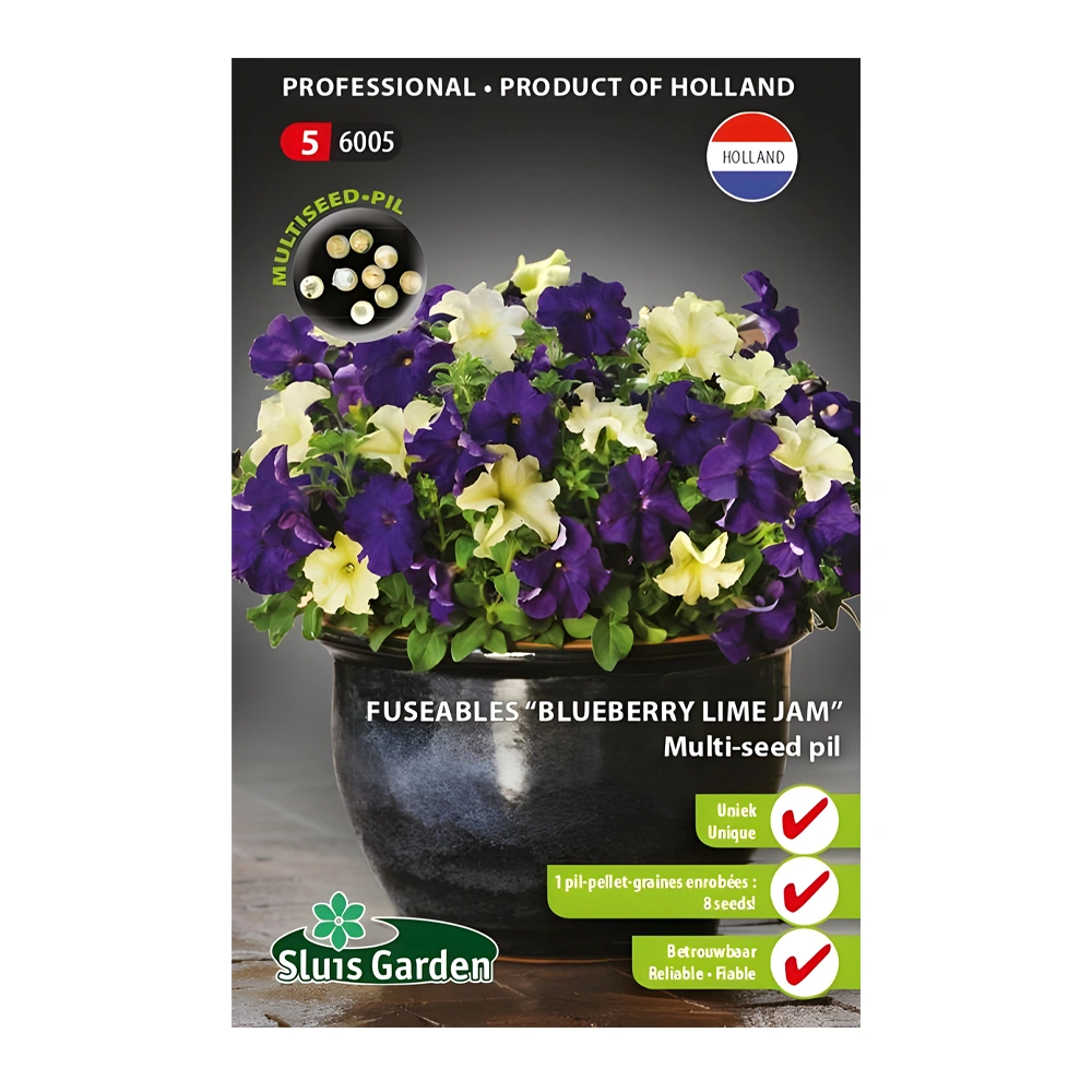 Petunia Sophistica Lime Green & Dreams Midnight