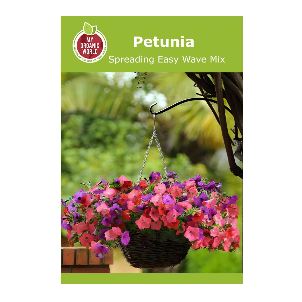 Petunia Spreading Easy Wave Mix 1 Petunia Spreading Easy Wave Mix seeds