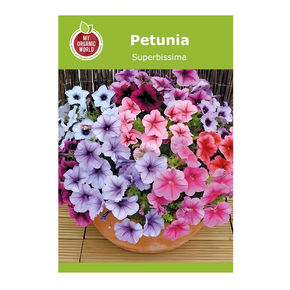Petunia Superbissima 1 Petunia Superbissima seeds