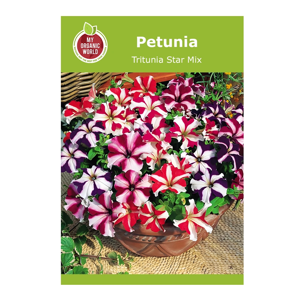Petunia Tritunia Star Mix 1 Petunia Tritunia Star Mix seeds