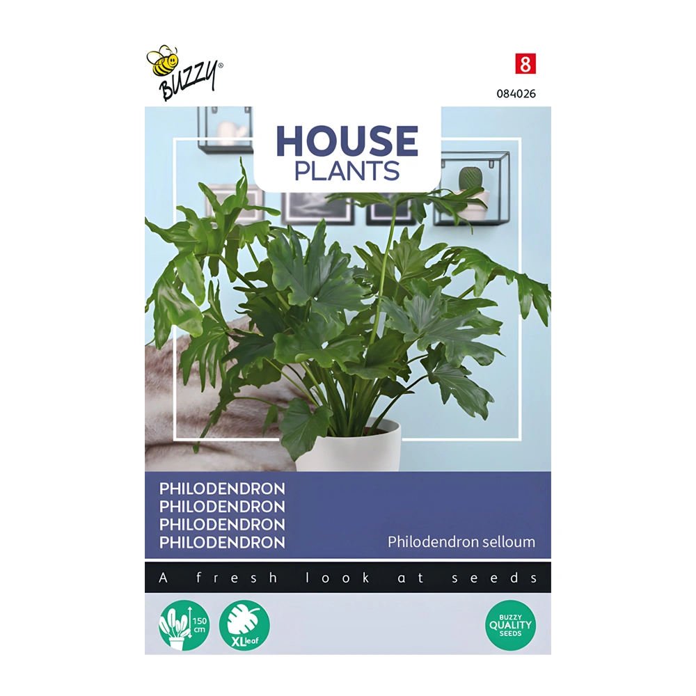 Philodendron Selloum