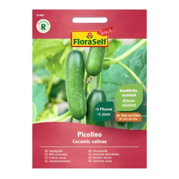 Picolino F1 Cucumber Seeds