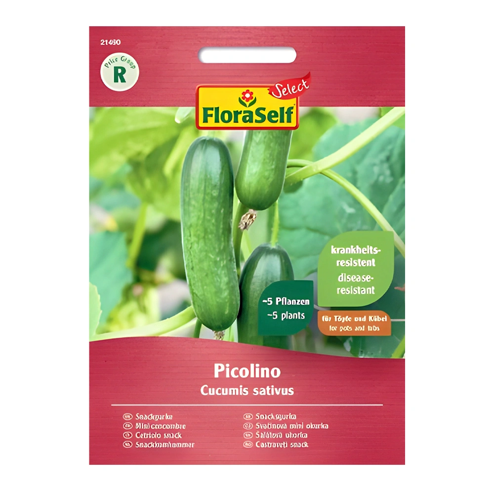 Picolino F1 Cucumber 1 Picolino F1 Cucumber Seeds