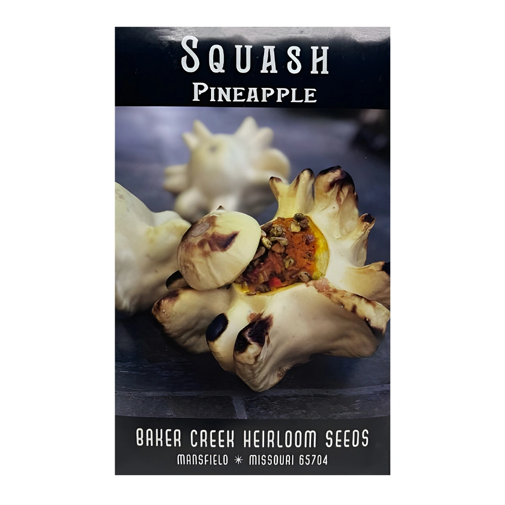 Pineapple Squash seeds