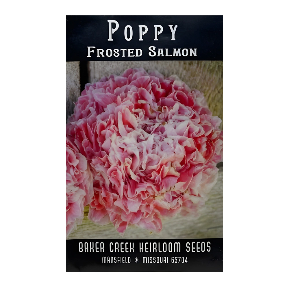 Poppy Frosted Salmon 1 Poppy Frosted Salmon