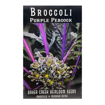 Purple Peacock Broccoli seeds