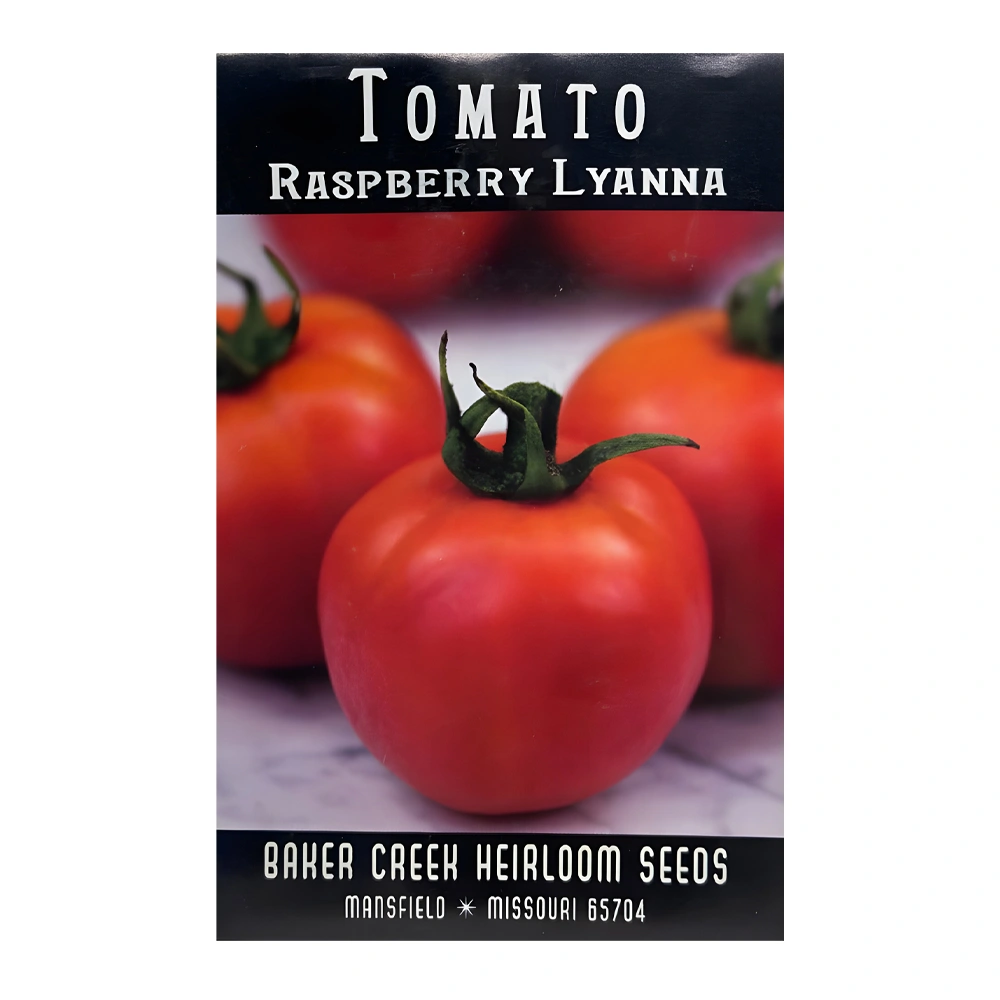 Raspberry Lyanna Tomato 1 Raspberry Lyanna Tomato seeds