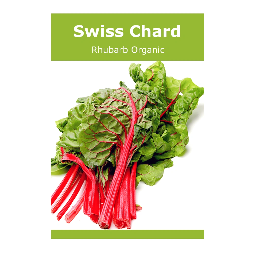 Rhubarb Organic Swiss Chard 1 بذور Rhubarb Organic Swiss Chard