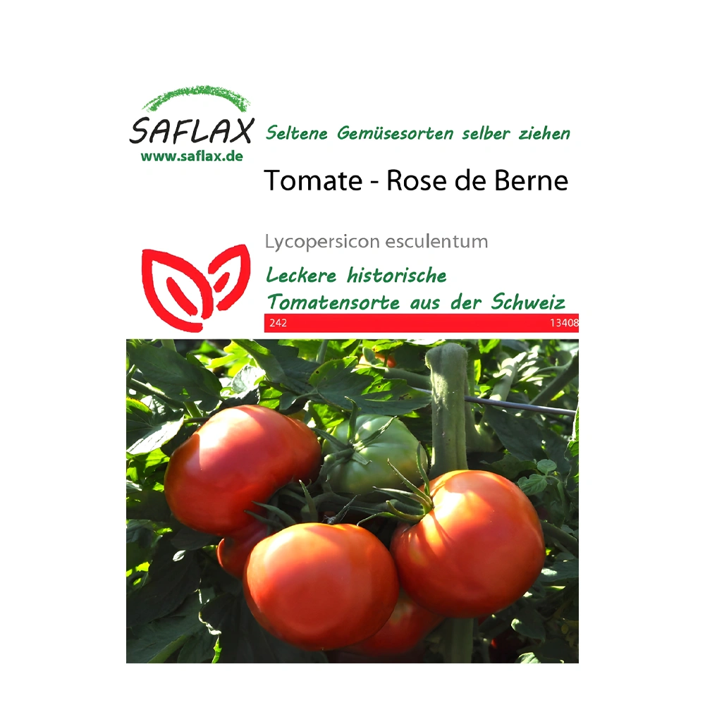 Rose de Berne Tomato 1 Rose de Berne Tomato seeds