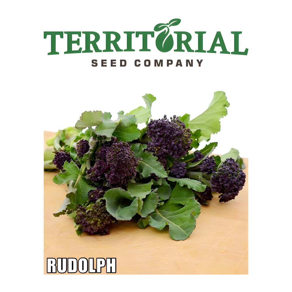 Rudolph Broccoli seeds