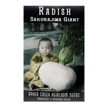 Sakurajima Giant Radish seeds
