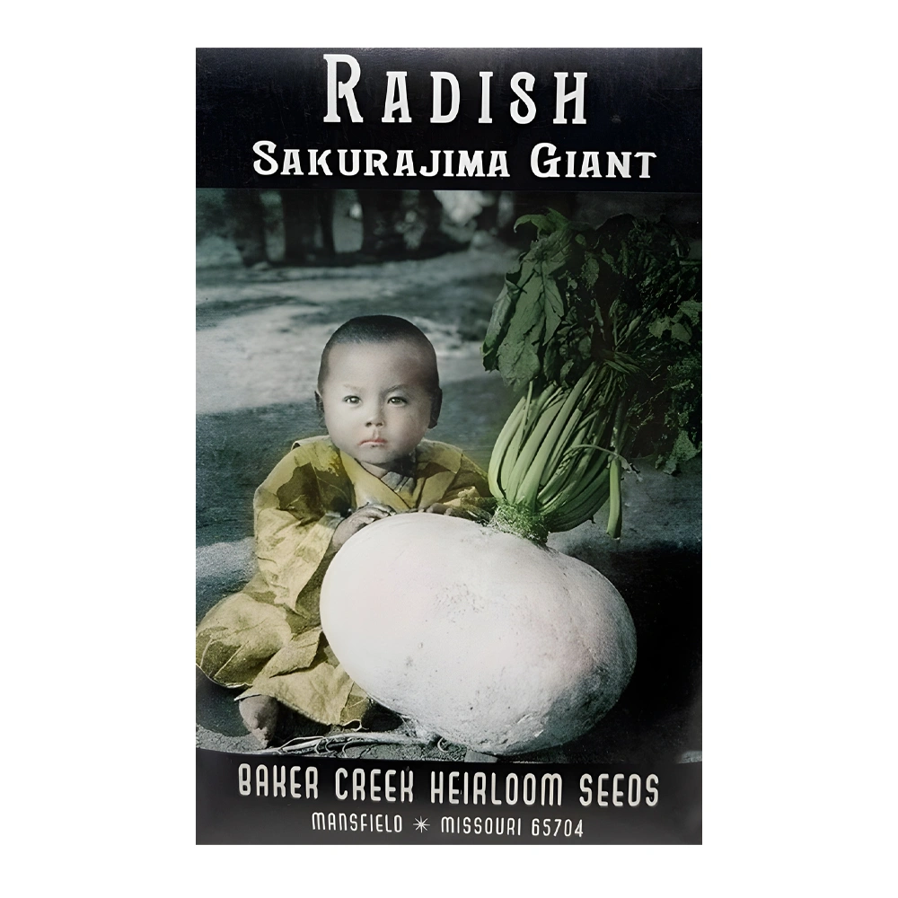 Sakurajima Giant Radish 1 Sakurajima Giant Radish seeds