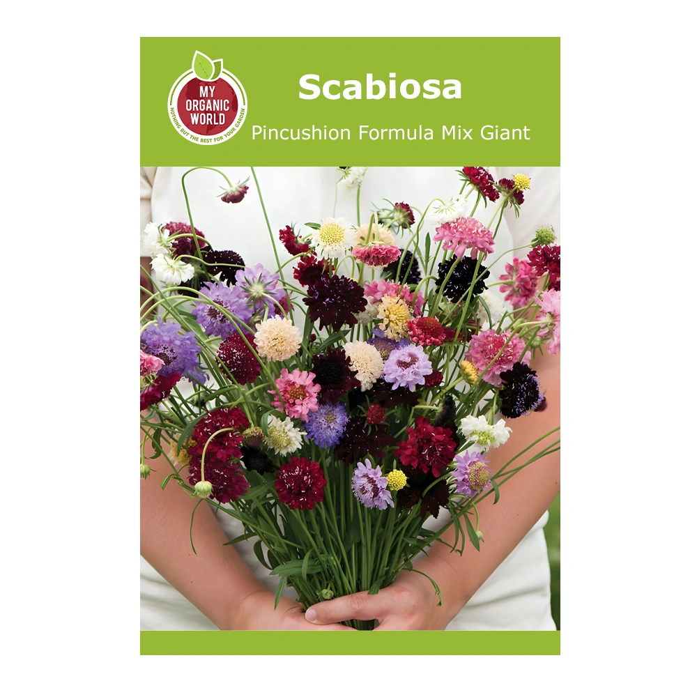 Scabiosa Pincushion Formula Mix Giant