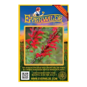 Scarlet Sage seeds