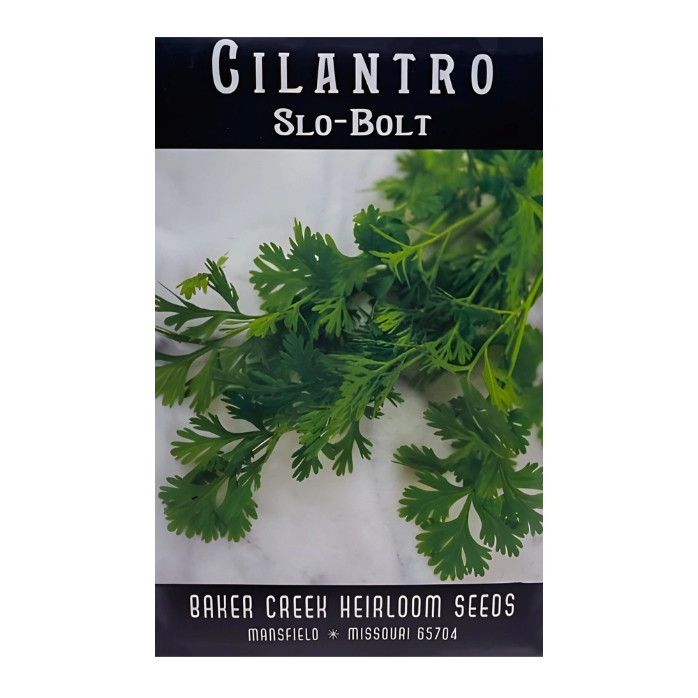 بذور الكزبرة Slo-Bolt