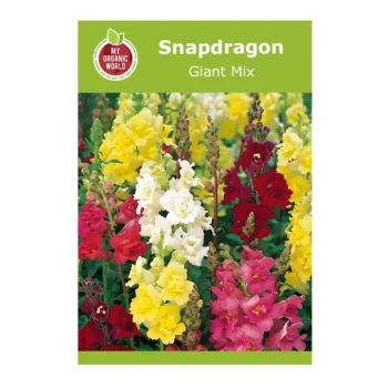 Snapdragon Giant Mix