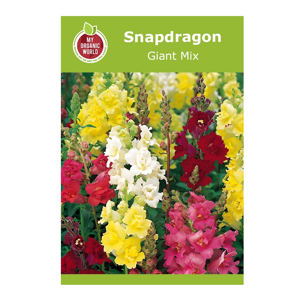 Snapdragon Giant Mix