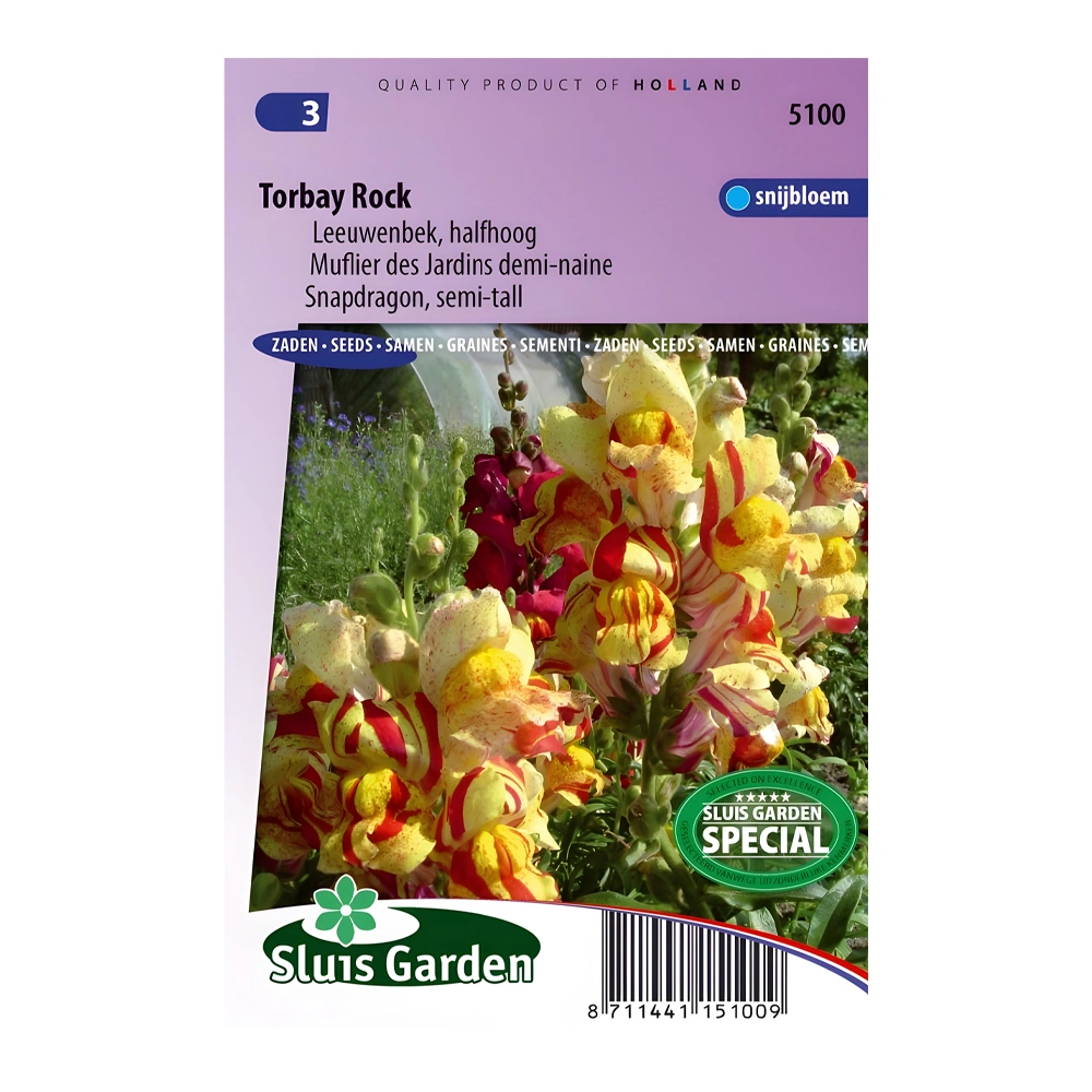 Snapdragon Torbay Rock 1 Snapdragon Torbay Rock
