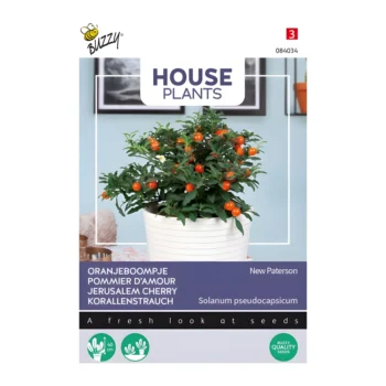 Solanum Jubilee
