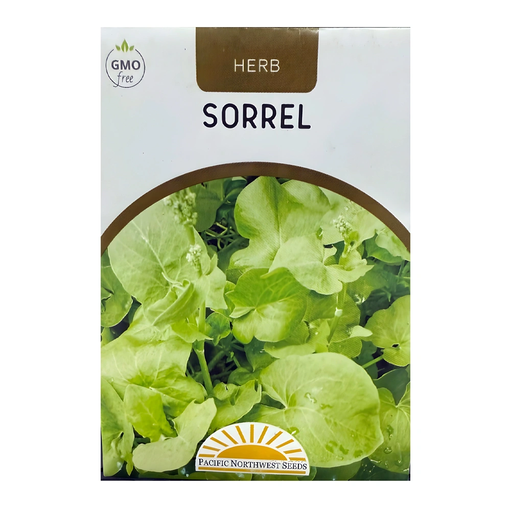 Sorrel 1 Sorrel seeds
