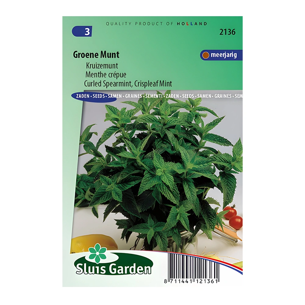Spearmint 1 Spearmint
