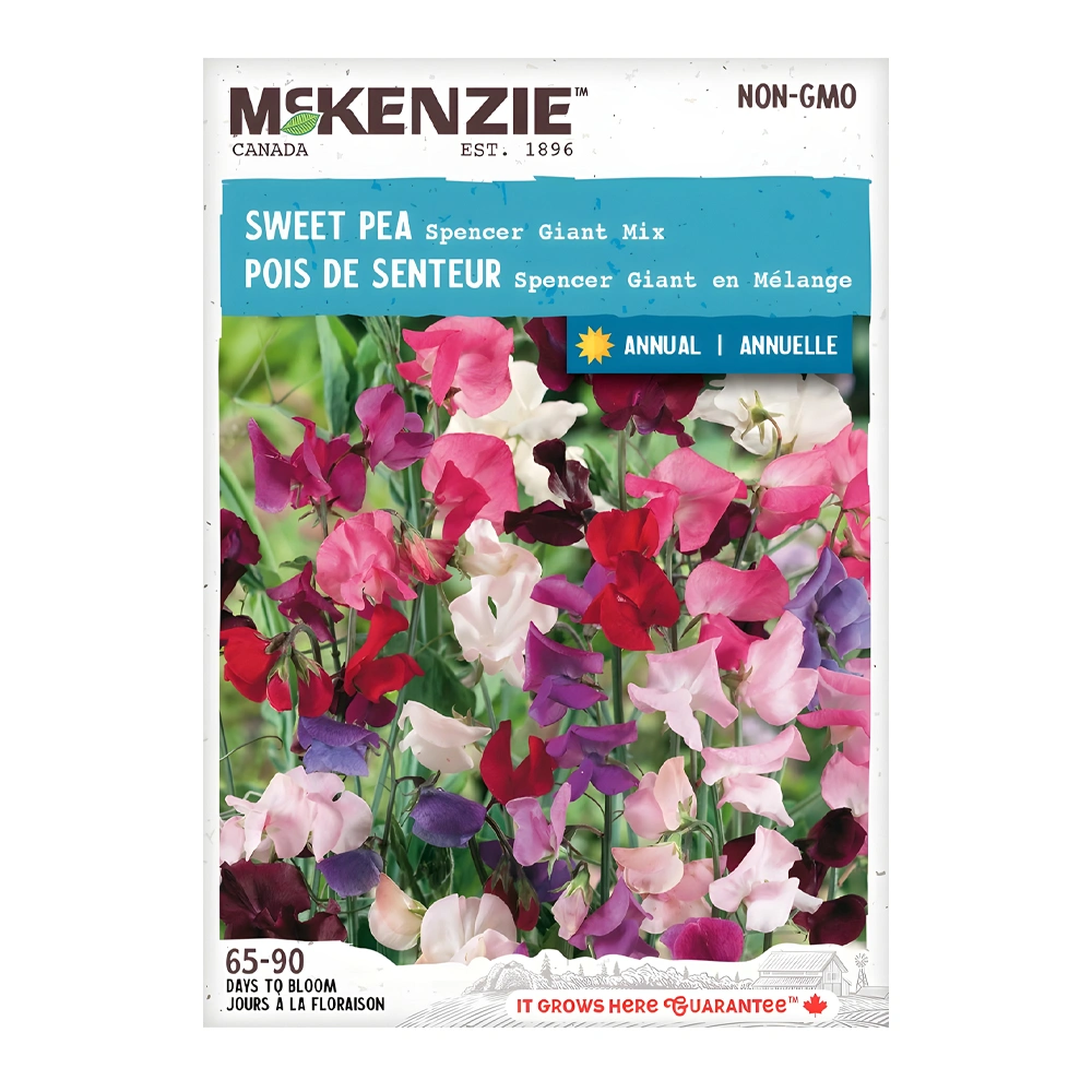 Spencer Giant Mix Sweet Pea 1 Spencer Giant Mix Sweet Pea seeds