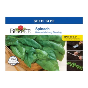 Spinach Bloomsdale Long Standing (Seed Tape)