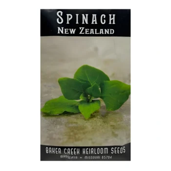 Spinach New Zealand