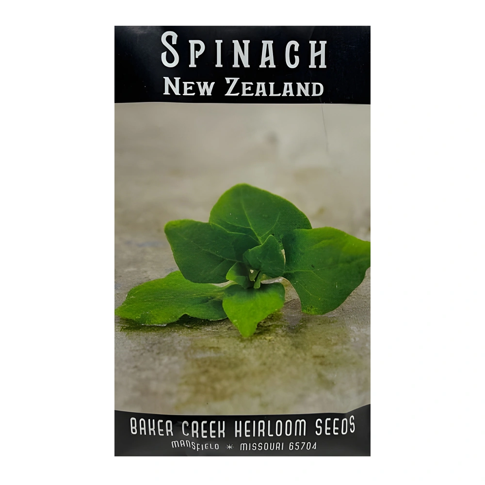 Spinach New Zealand 1 Spinach New Zealand