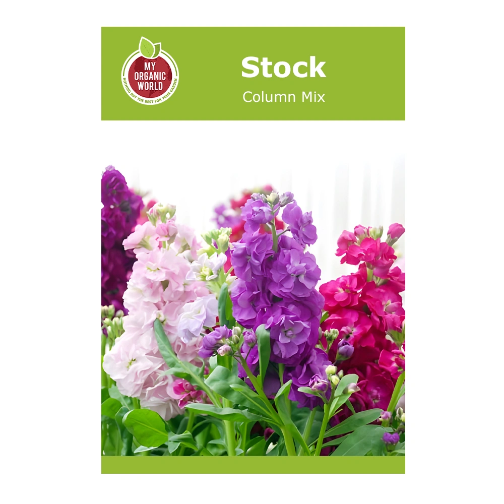 Stock Column Mix 1 Stock Column Mix seeds