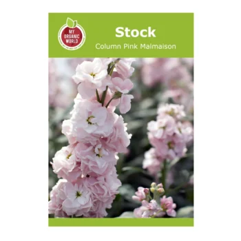Stock Column Pink Malmaison seeds