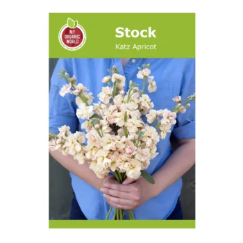 Stock Katz Apricot seeds
