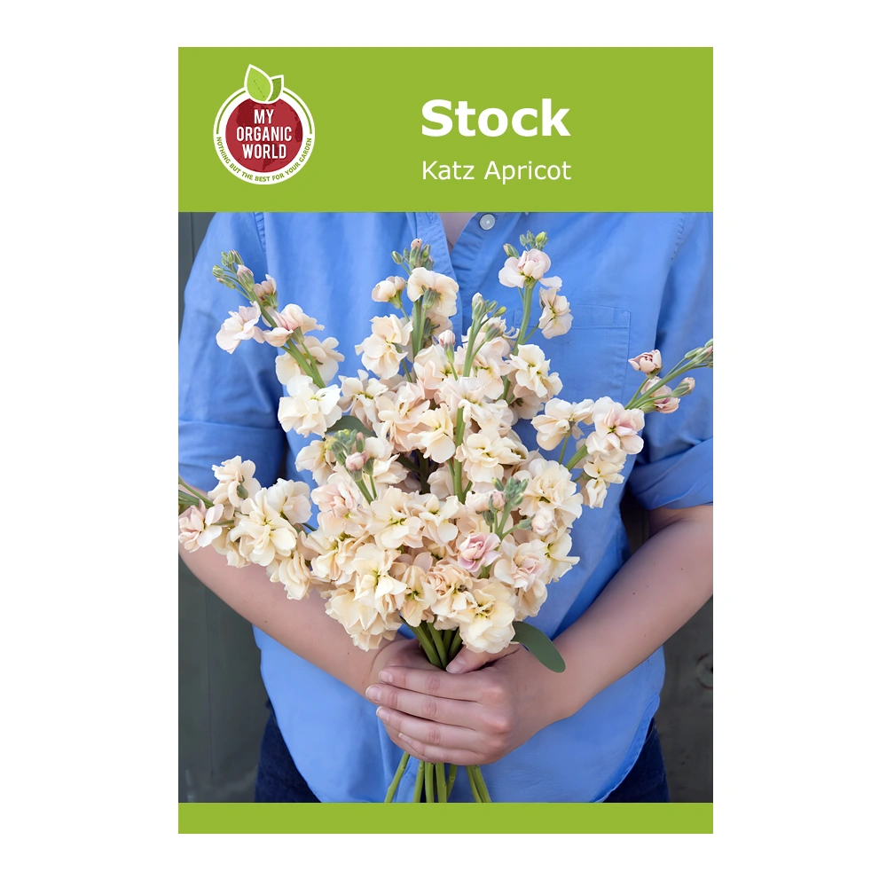 Stock Katz Apricot 1 Stock Katz Apricot seeds