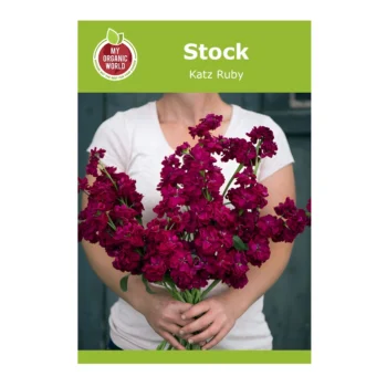 Stock Katz Ruby seeds